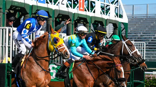 How to Watch the 2025 Kentucky Derby: Where to Stream the Race Live on May 3